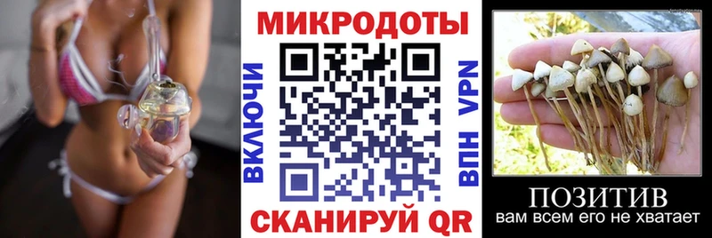 Галлюциногенные грибы GOLDEN TEACHER блэк спрут зеркало Семёнов где купить наркоту